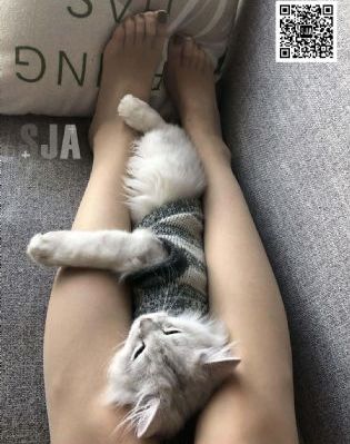 а√ 天堂 在线官网_高清免费观看最新